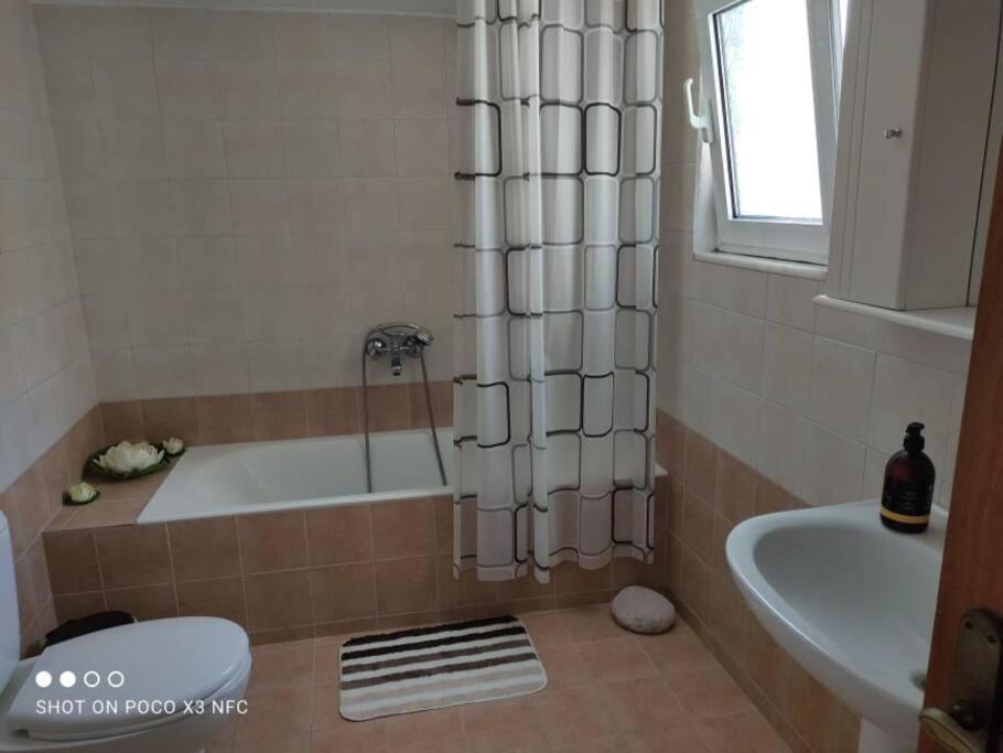 Wild Orchid Afantou Villa ภายนอก รูปภาพ